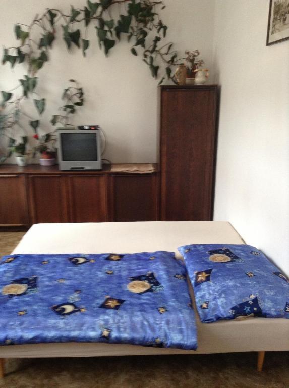 At Pension Ческе-Будеёвице Номер фото