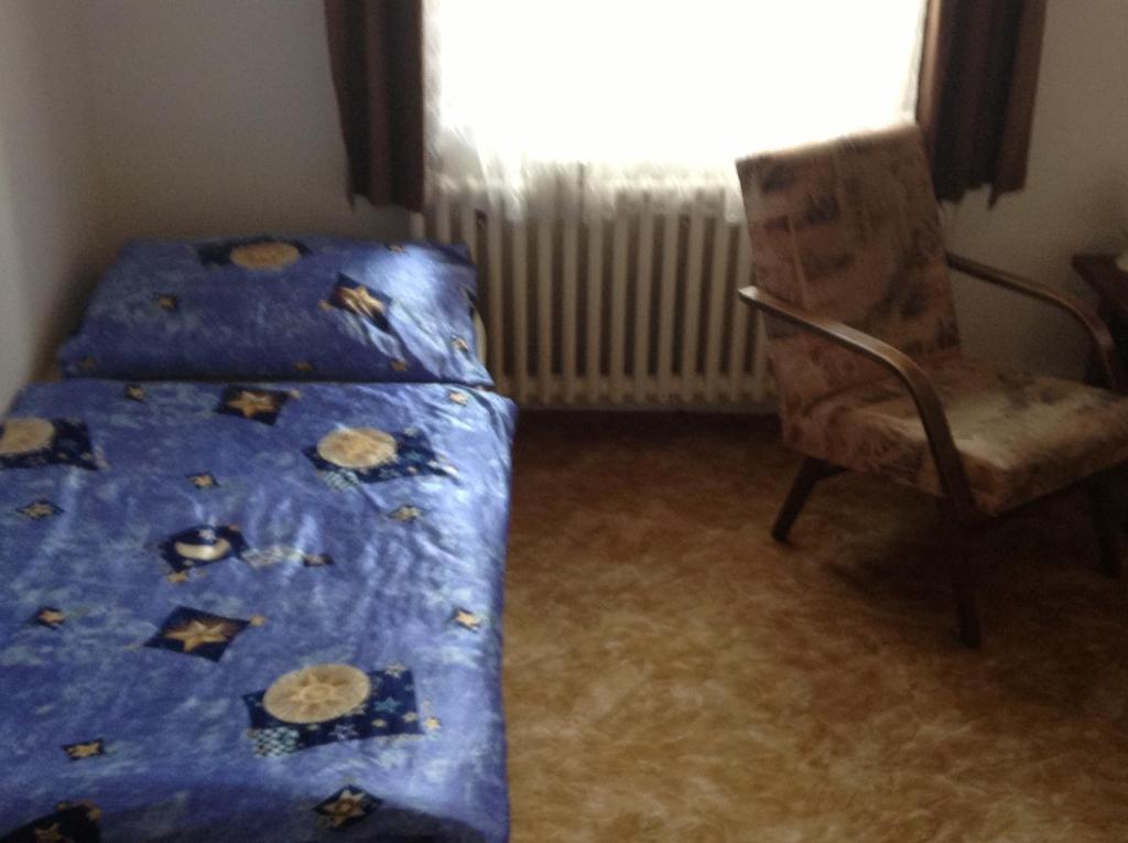 At Pension Ческе-Будеёвице Номер фото