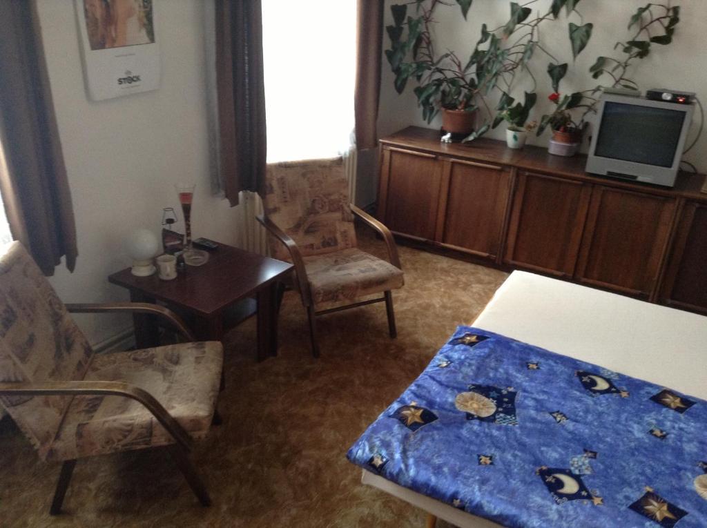 At Pension Ческе-Будеёвице Номер фото